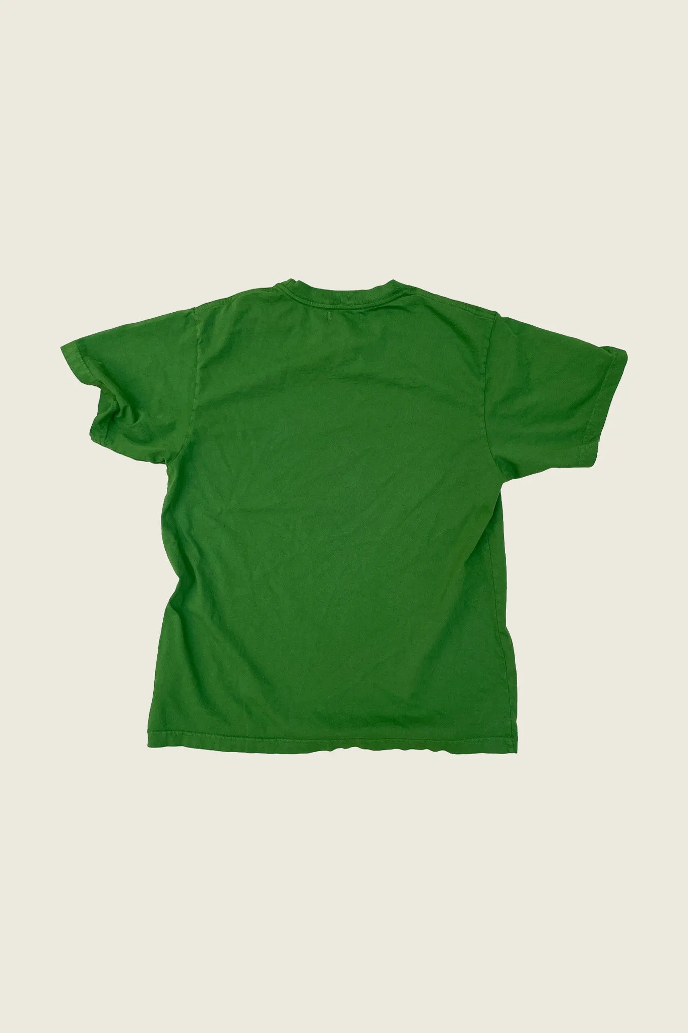 PHIPPS TRUCKER LOGO T LAWN GREEN